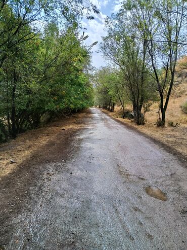 Продажа участков: 72 соток, Для сельского хозяйства, Договор купли-продажи — 12