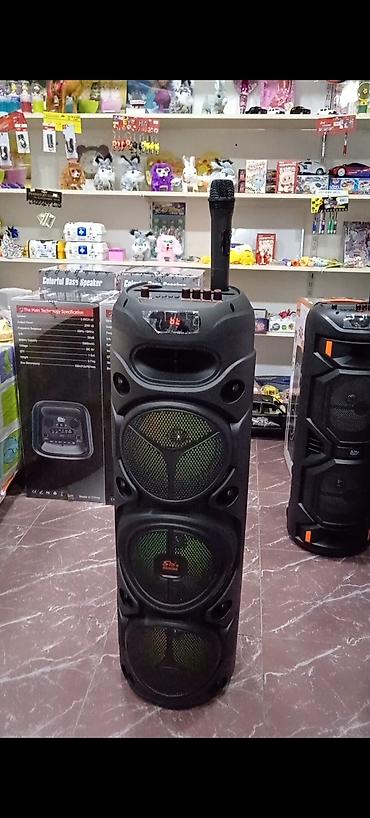fm network: SING-E Multi-Media Speaker – 8"x2 HiFi, rəngli bas dinamikləri ilə — 1