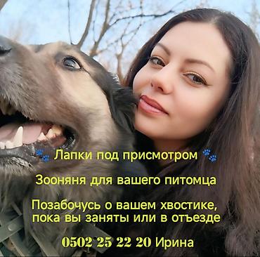 Другие услуги: 🐾 Лапки под присмотром — забота, как для своих.🐾 Я няня для ваших — 1