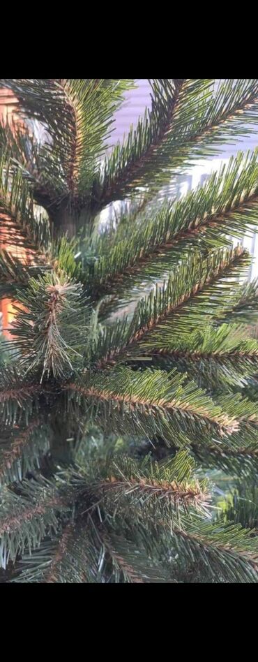 Praznična dekoracija: Jelka, Novo — 4