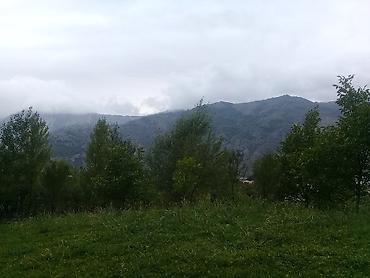 Torpaq sahələrinin satışı: 14 sot, Tikinti, Mülkiyyətçi, Kupça (Çıxarış) — 8