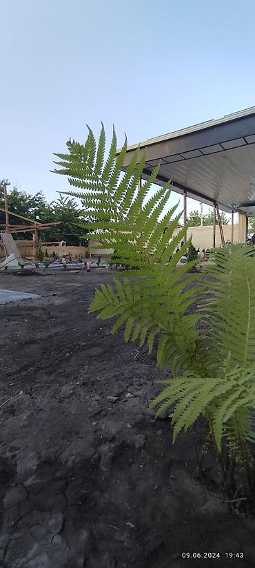 Дизайн, проектирование: Дизайн | Дома — 16