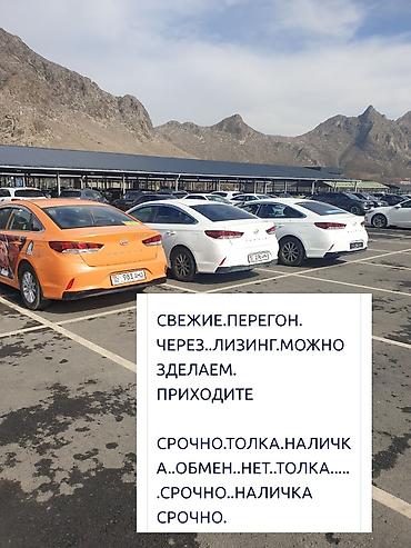 Hyundai: Hyundai Sonata: 2019 г., 2 л, Автомат, Газ, Седан — 11