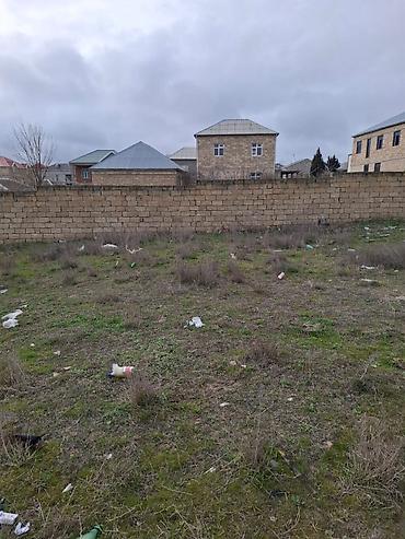sarayda torpag: 22 sot, Kənd təsərrüfatı, Mülkiyyətçi, Kupça (Çıxarış) — 6