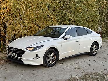 cruse: Hyundai Sonata: 2019 г., 2 л, Автомат, Газ, Седан — 4
