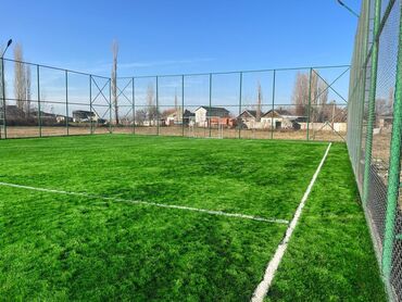 Газон: Искусственный газон Прямые поставки с завода Газон 12000 дтх 5 см — 3