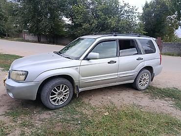 Продажа авто: Subaru Forester: 2005 г., 2 л, Автомат, Бензин, Универсал — 2