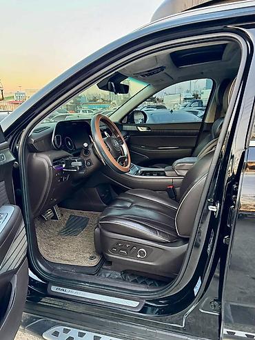 Hyundai: Hyundai Palisade: 2023 г., 2.2 л, Дизель, Внедорожник — 21