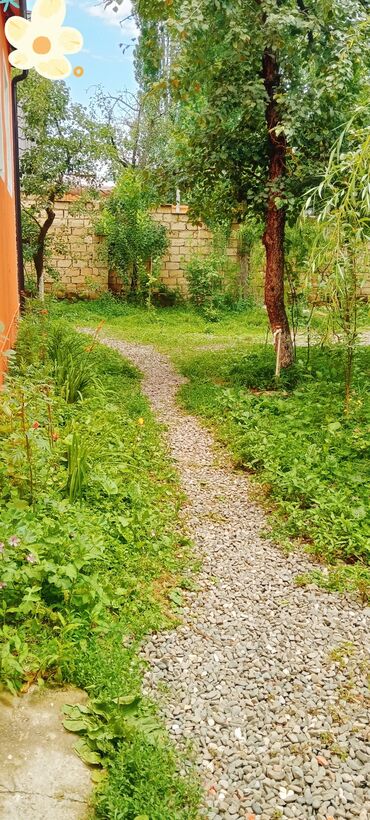 Günlük kirayə evlər: 100 kv. m, 3 otaqlı, İnternet, Telefon, Qaz — 25