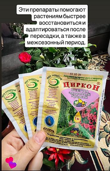 Циркон — природный регулятор роста и антистрессант для комнатных at lalafo.kg Циркон — природный регулятор роста и антистрессант для комнатных