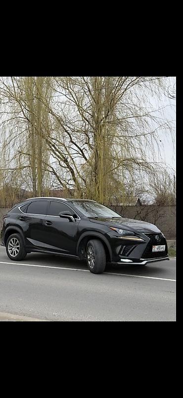 Lexus: Lexus NX: 2019 г., 2 л, Автомат, Бензин, Кроссовер — 2