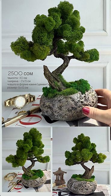 Декоративные цветы: Цены от 2500 сом( указаны на фото) В наличии и на заказ (3-7 дней) Все — 8