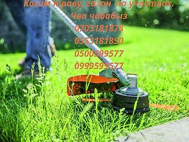 Капельный полив: Система полива. Система автополива. Сеем газон. Газон и автополива — 3