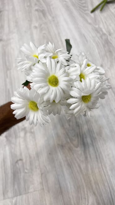 Süni güllər: Suni gullerin topdan perakenden satisi
5 azn baslayan qiymetler — 12