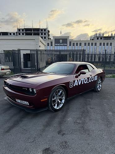 Dodge: Dodge Challenger: 2020 г., Купе — 1
