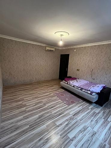 Bağ və bostan üçün digər məhsullar: Salam bələdiyyə sənəti — 5