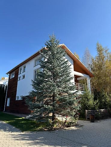 6 комнат, 400 м², 4 соток, Чолпон-Ата, Агентство недвижимости