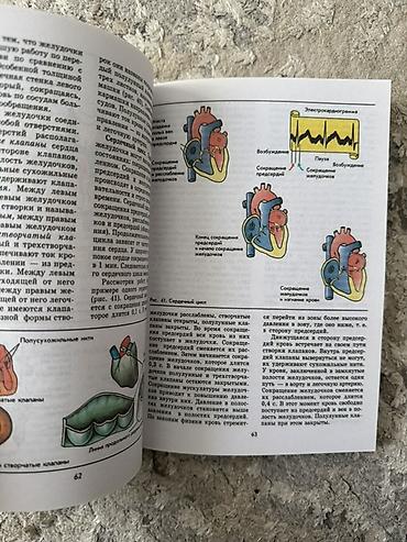 ххх школьник: Набор учебных пособий по английскому языку (Oxford University Press) — 9