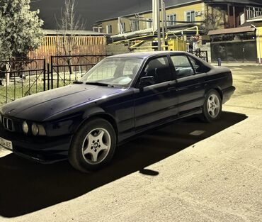 bew e34: BMW 5 series: 1991 г., 2.5 л, Механика, Бензин, Седан