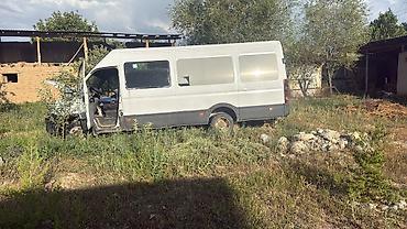 тягачи iveco: Iveco Daily: 2008 г., 3 л, Механика, Дизель, Бус — 2