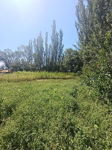 Продажа коттеджей и домов: Дом, 5 комнат, 68 кв.м В селе Петровка продается дом из 5-ти комнат at lalafo.kg — 18 Продажа коттеджей и домов: Дом, 5 комнат, 68 кв.м В селе Петровка продается дом из 5-ти комнат — 18