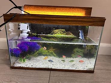 Akvariumlar: Akvaryum dəsti – şüşə korpus və taxta görünümlü üst örtük ilə - Ölçü — 3
