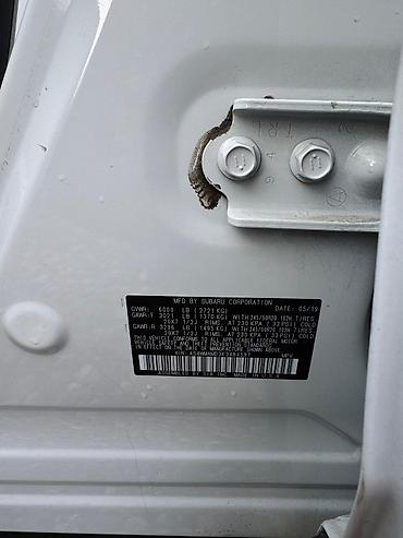 Subaru: Subaru Ascent: 2019 г., 2.4 л, Вариатор, Бензин, Кроссовер — 8