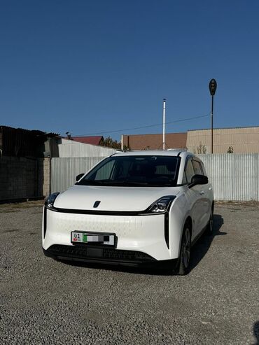 зарядное устройство для электромобиля: FAW : 2023 г., Электромобиль