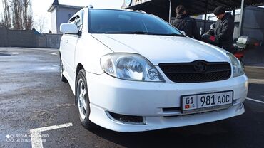 таета джип: Toyota Corolla: 2003 г., 1.8 л, Автомат, Газ, Универсал