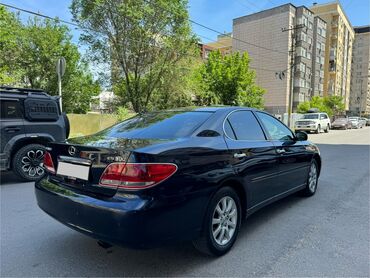 Lexus: Lexus ES: 2005 г., 3.3 л, Автомат, Бензин, Седан