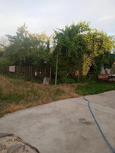 Продажа коттеджей и домов: Продаю дом с участком, в центре Беловодска,, дом 9 м / 16 м навес — 10