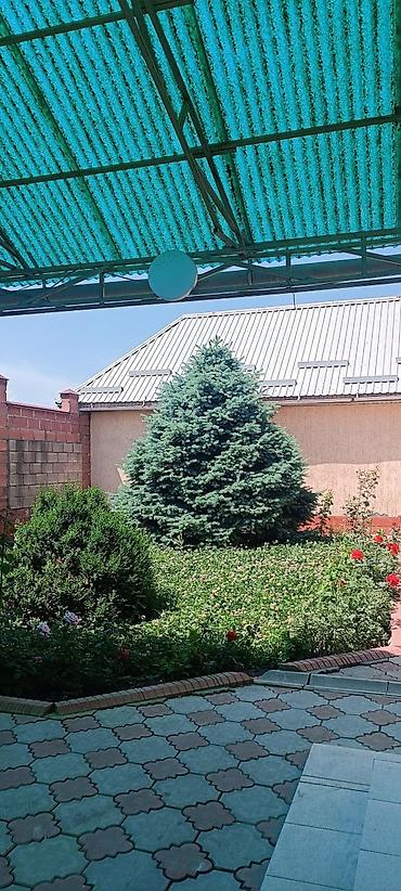 Долгосрочная аренда домов: 400 м², 9 комнат, Утепленный, Теплый пол, Кондиционер — 7