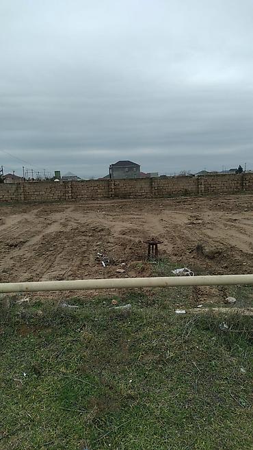 Torpaq: 7 sot, Kənd təsərrüfatı, Makler, Kupça (Çıxarış) — 4
