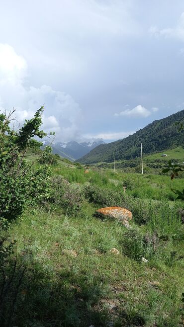 восток село: Дом, 6 м², 2 комнаты, Собственник, Старый ремонт