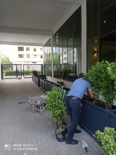 Bitkilər üçün dibçəklər: Dibçək güldanlar. Dipçəklər bir başa sexdən.Sex qiymətinə. ♦️Endrim — 5