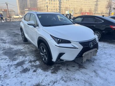 Lexus: Lexus NX: 2018 г., 2.5 л, Вариатор, Гибрид, Кроссовер