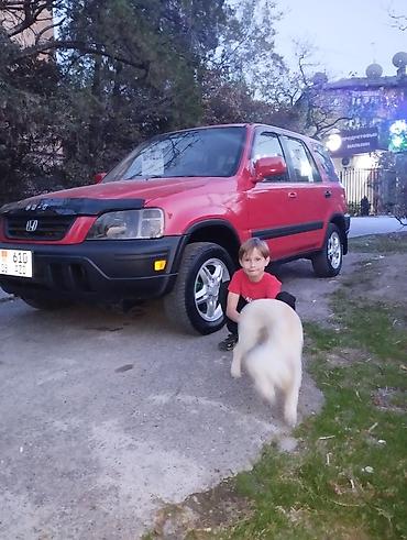 Honda: Honda CR-V: 1999 г., Автомат, Бензин, Кроссовер — 3