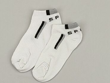 skarpety polo z misiem: Socks, One size, condition - Very good