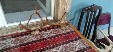Xalçalar: Qiymət 150azndır qiymətdə edirim olacağ