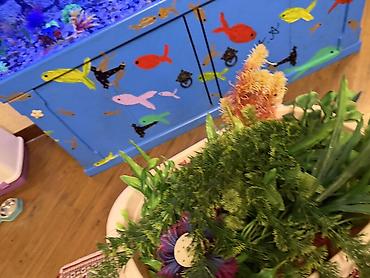 Akvariumlar: Продается аквариум 2 м с рыбами все вместе рыбы декор и — 24