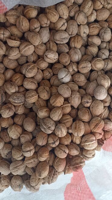 сухофрукты из яблок: Орехи урожай 2023скорлупа тонкая есть мешок большой адрес Киргизия