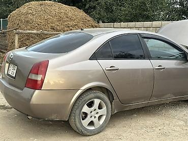 bmw e29: Nissan Primera: 2004 г., 1.8 л, Механика, Газ, Седан — 4