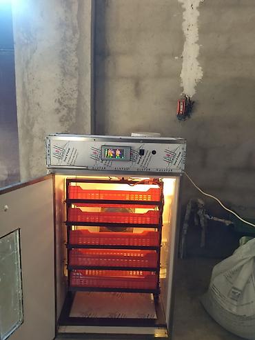 İnkubatorlar: 600 yumurta, Tam avtomat — 2