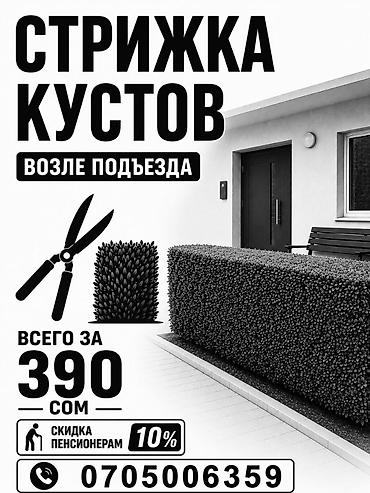роторный касилки: Стрижка кустов возле подъезда. - Ровная геометрия живых изгородей и — 1