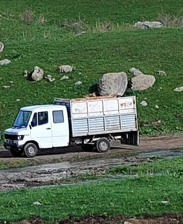 на спринтера: Mercedes-Benz Sprinter: 1994 г., 3.2 л, Механика, Дизель, Бус