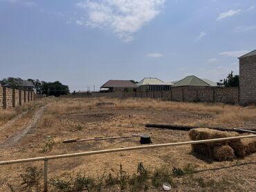 Torpaq sahələrinin satışı: 8 sot, Tikinti — 9