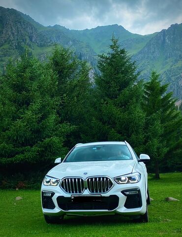 Продажа авто: BMW X6: 2020 г., 3 л, Автомат, Дизель, Внедорожник