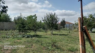 Həyət evləri və villaların satışı: 6 otaqlı, 150 kv. m, Orta təmir — 31