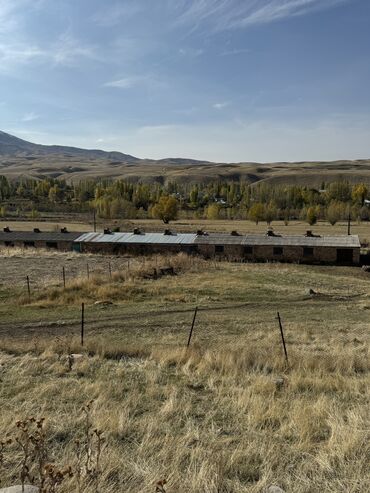 Сельхоз предприятия: Продаю Кошара, 130 соток, Действующий, Частично с оборудованием, Электричество, Канализация, Отопление — 8