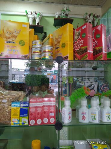 Рыбы: Рыбы — 14